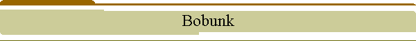 Bobunk
